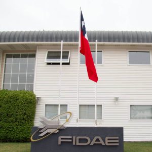 Fidae